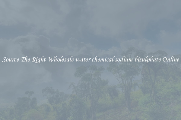 Source The Right Wholesale water chemical sodium bisulphate Online