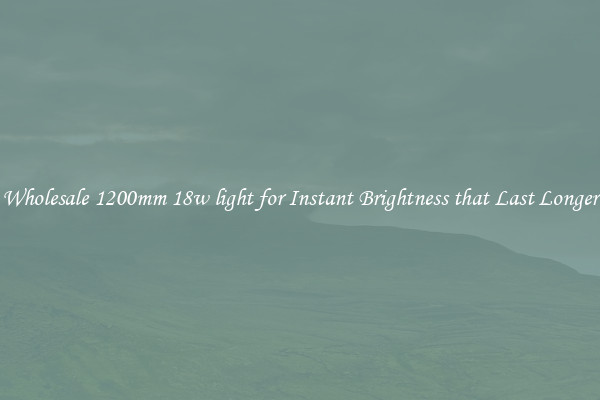Wholesale 1200mm 18w light for Instant Brightness that Last Longer