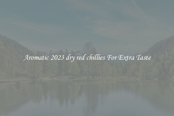 Aromatic 2023 dry red chillies For Extra Taste