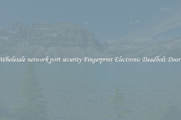 Wholesale network port security Fingerprint Electronic Deadbolt Door 