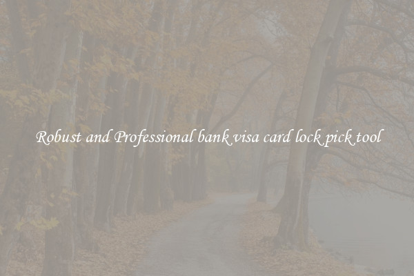 Robust and Professional bank visa card lock pick tool