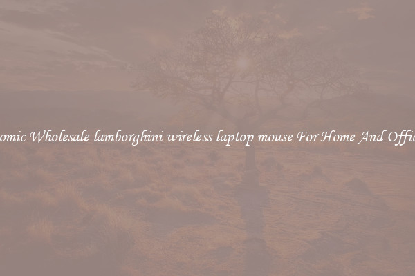 Ergonomic Wholesale lamborghini wireless laptop mouse For Home And Office Use.