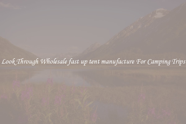 Look Through Wholesale fast up tent manufacture For Camping Trips