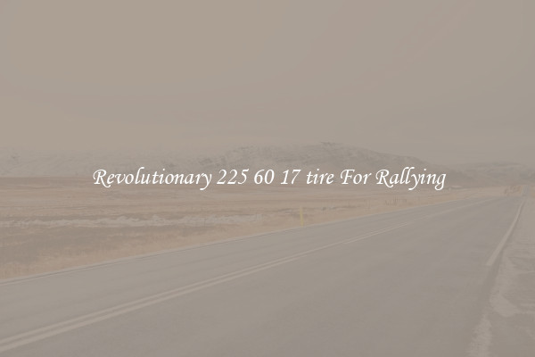 Revolutionary 225 60 17 tire For Rallying