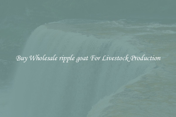 Buy Wholesale ripple goat For Livestock Production