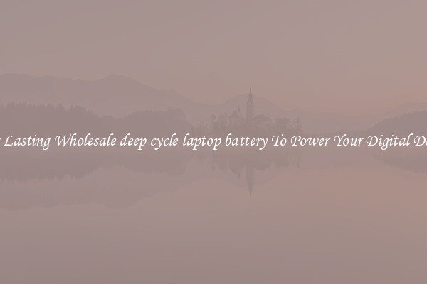 Long Lasting Wholesale deep cycle laptop battery To Power Your Digital Devices