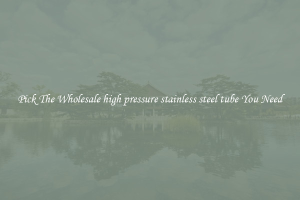 Pick The Wholesale high pressure stainless steel tube You Need
