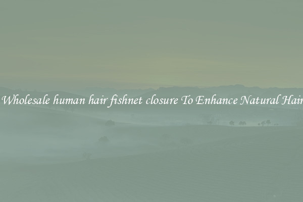Wholesale human hair fishnet closure To Enhance Natural Hair