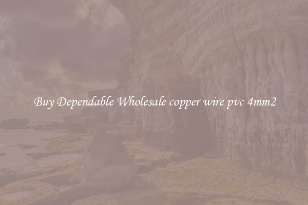 Buy Dependable Wholesale copper wire pvc 4mm2