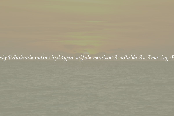 Handy Wholesale online hydrogen sulfide monitor Available At Amazing Prices