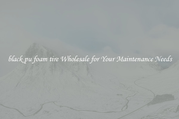 black pu foam tire Wholesale for Your Maintenance Needs