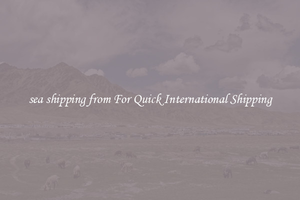 sea shipping from For Quick International Shipping