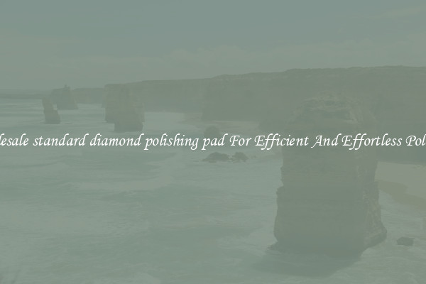 Wholesale standard diamond polishing pad For Efficient And Effortless Polishing